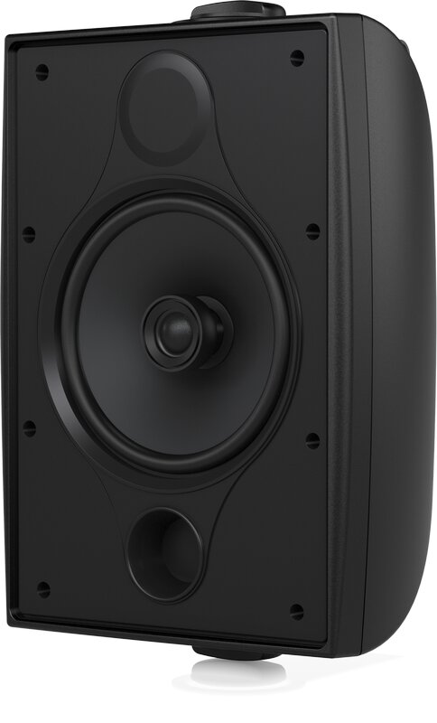 Фото Tannoy DVS 6  