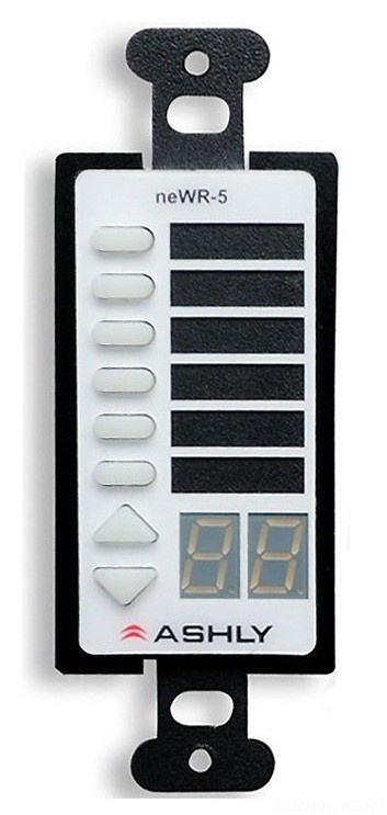 Фото ASHLY neWR-5