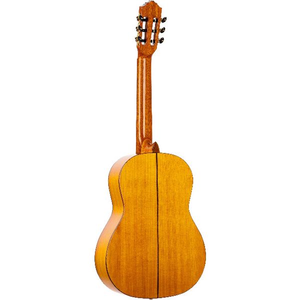 Фото Классическая гитара Ortega R170F Family Series Pro