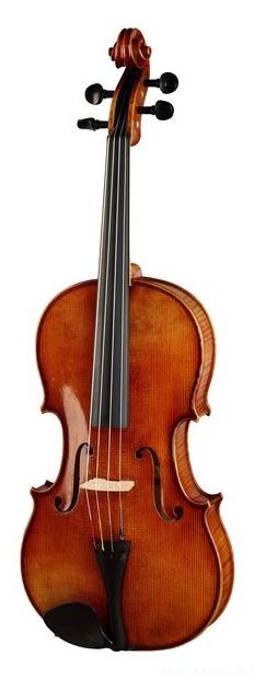 Фото Karl Hofner AS-060-VA