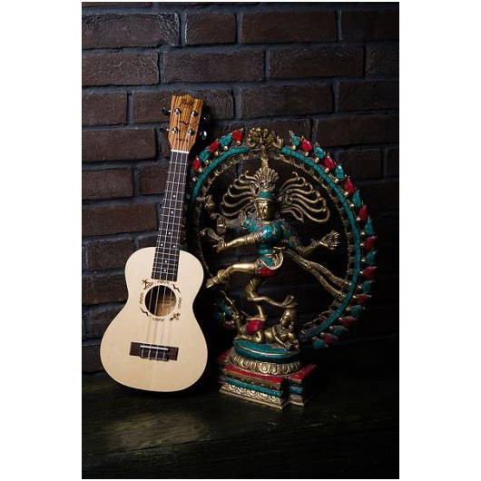 Фото Укулеле концерт FLIGHT DUC525 EQ SP/ZEB