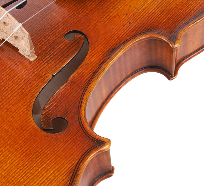 Фото Karl Hofner  H215-AS-V 4/4