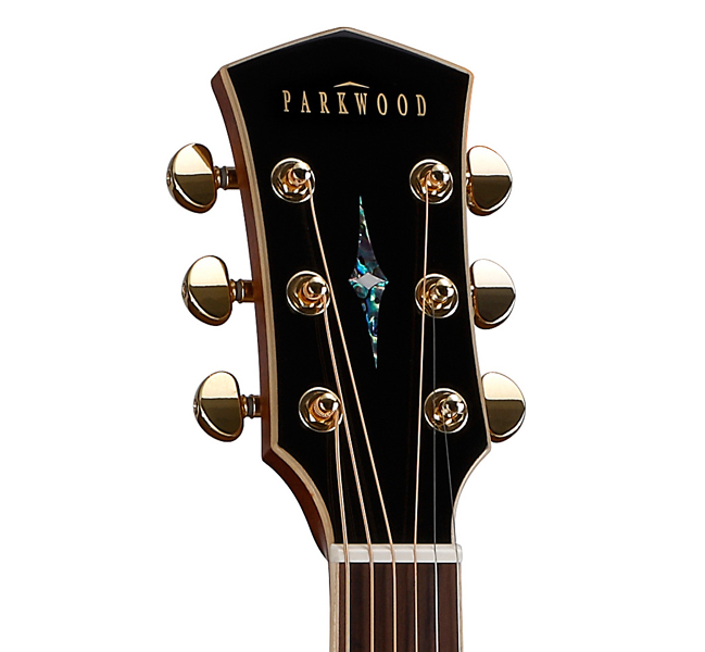 Фото Электро-акустическая гитара P860 Parkwood