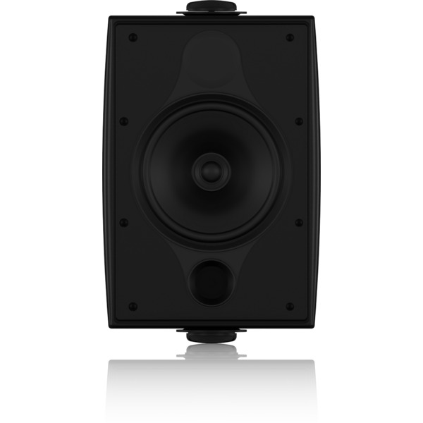 Фото Всепогодная акустическая система TANNOY DVS 6