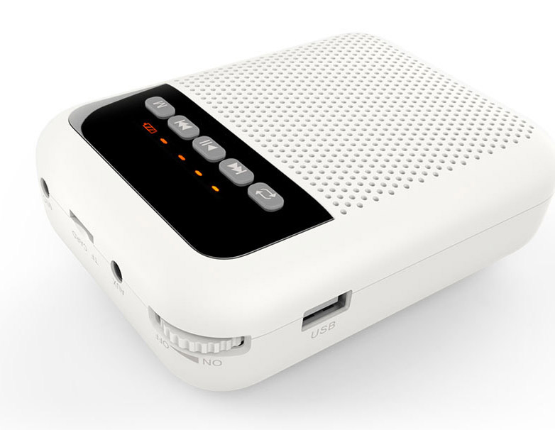 Фото Переносной громкоговоритель для гида LAudio WS-VA030