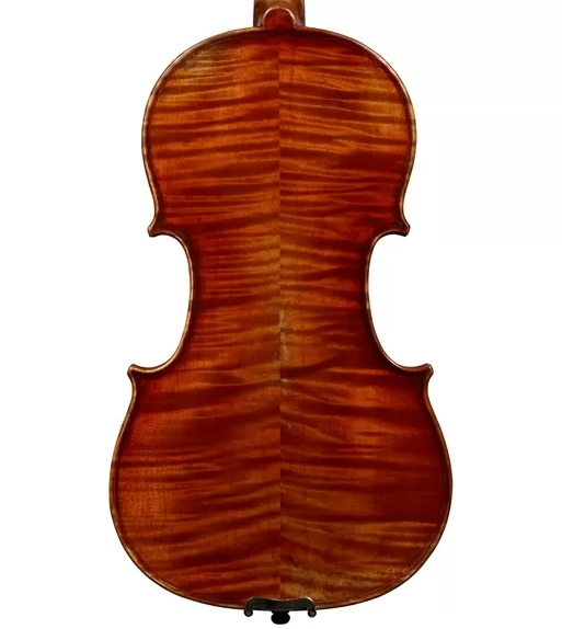 Фото Скрипка Tononi VN720 4/4