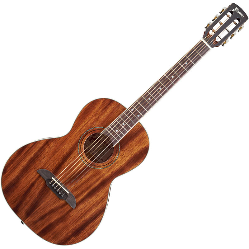 Фото Framus FP 14 M NS