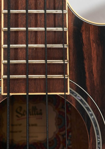 Фото Электроакустическая бас-гитара Sevillia AE-BASS