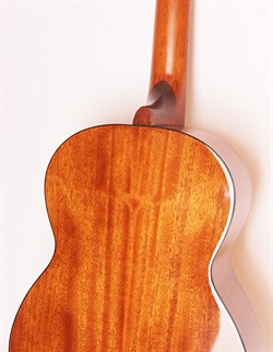 Фото Классическая гитара Cort AC100-SG Classic Series