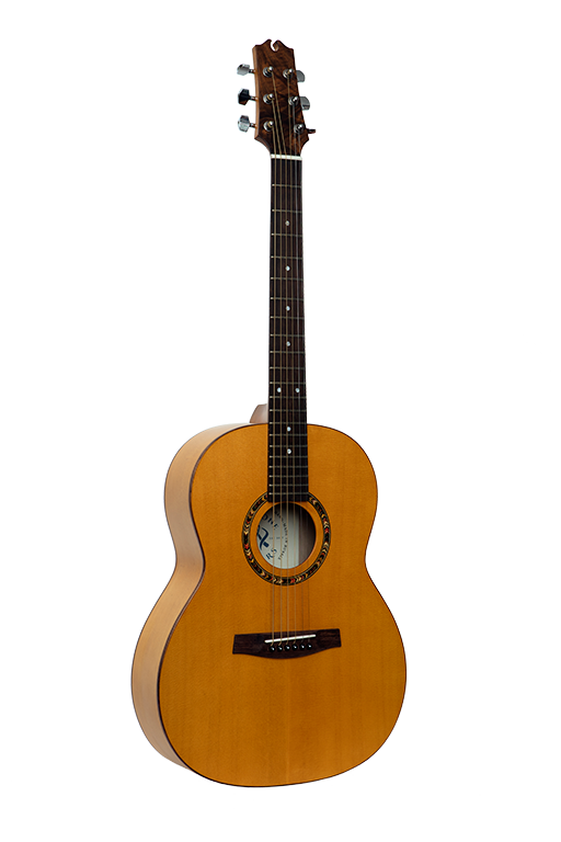 Фото NewTone Rainbow GA-S N