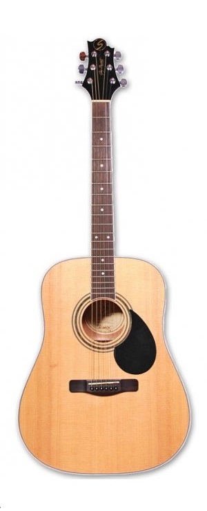 Фото Акустическая гитара GREG BENNETT GD100S