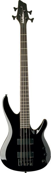 Фото Washburn BB4(GM, B, DBL)