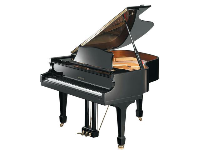 Фото SAMICK NSG158D/EBHP