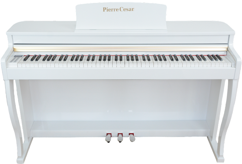 Фото Цифровое фортепиано Pierre Cesar XY-8803-H-WH
