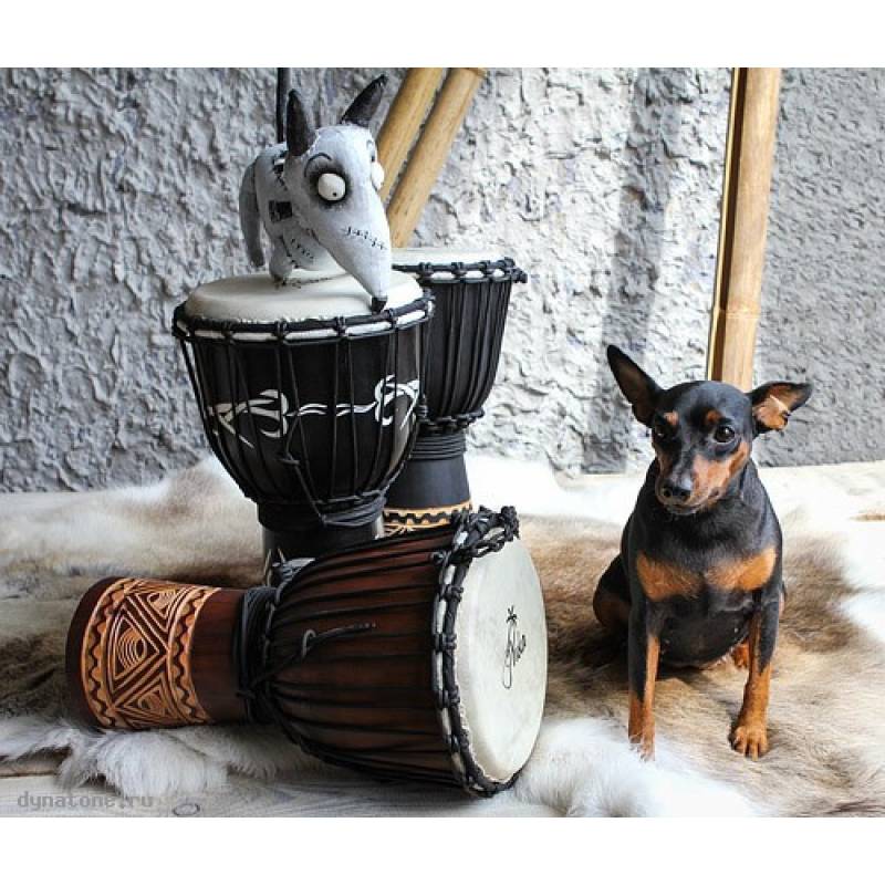 Фото YUKA DJWN08-16BR2 - Джембе с верёвочной настройкой Юка