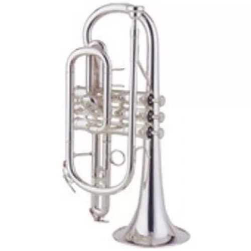 Фото Корнет BRAHNER CR-430S