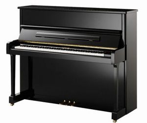 Фото Акустическое пианино Pearl River T2 (A111) 