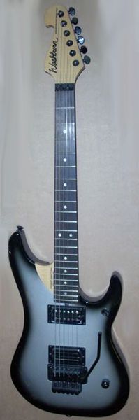 Фото Washburn N4EASB