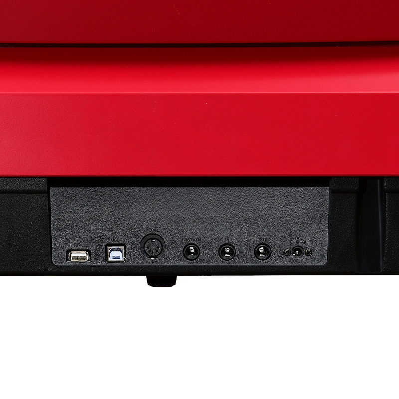 Фото Цифровое фортепиано EMILY PIANO D-20 RD