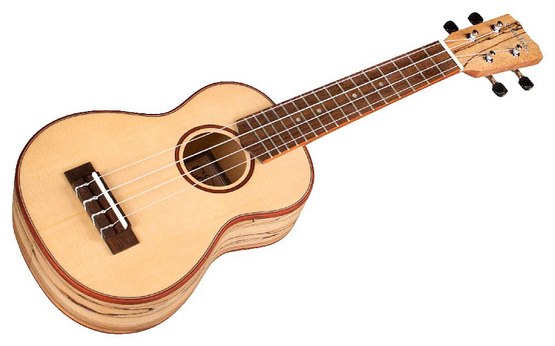 Фото CORDOBA 24S Spruce