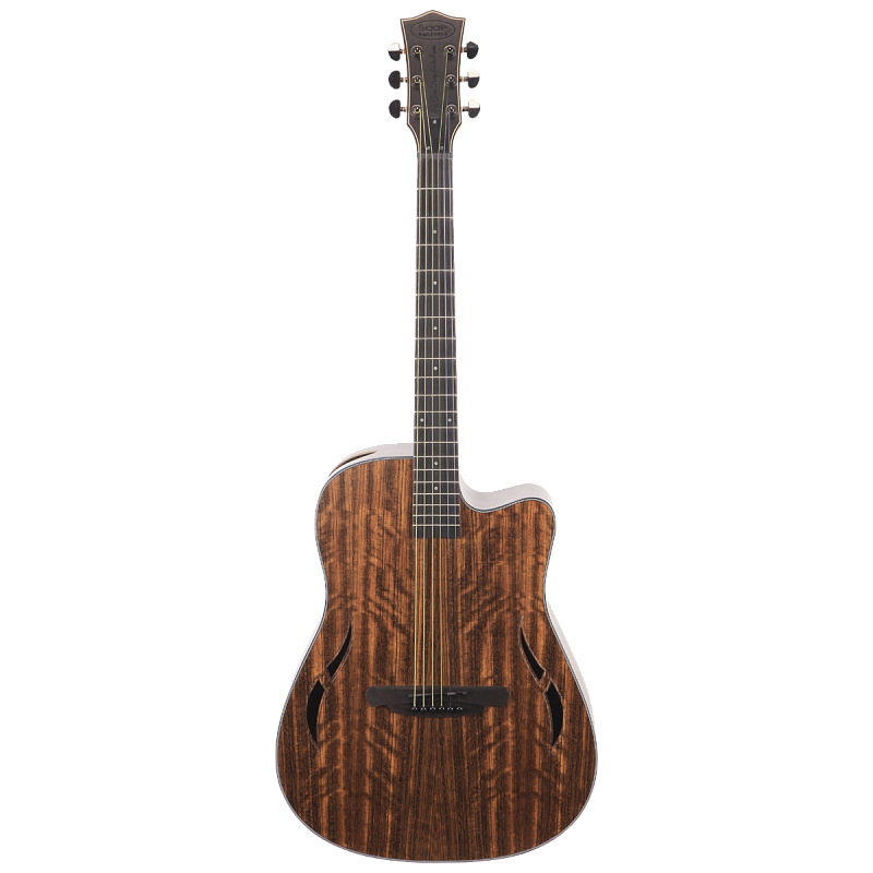 Фото Гитара акустическая SQOE SQ-FS Set