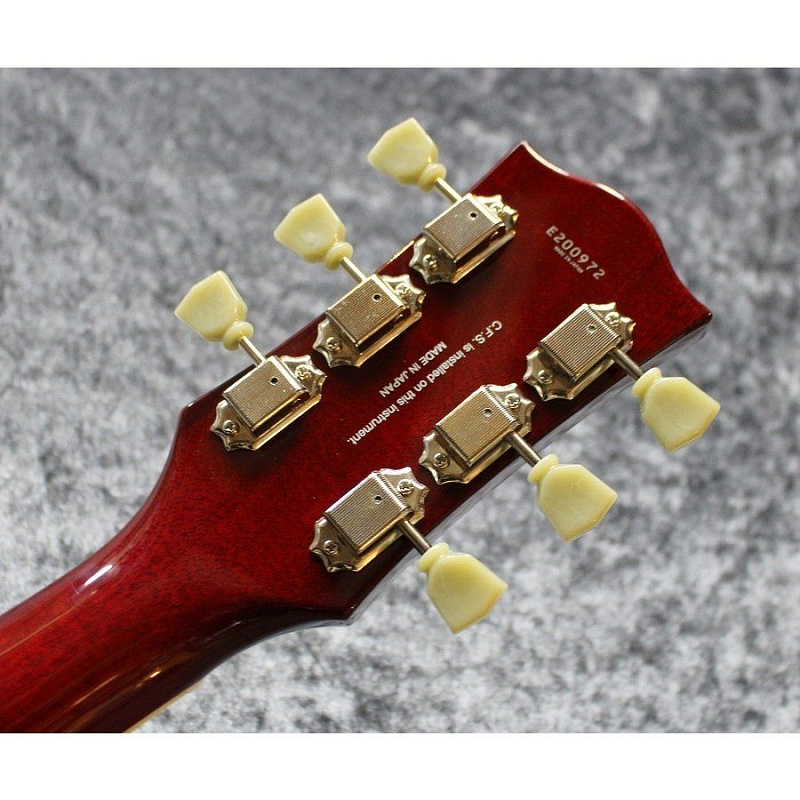 Фото Электрогитара с чехлом FGN NLS10GMP FCB