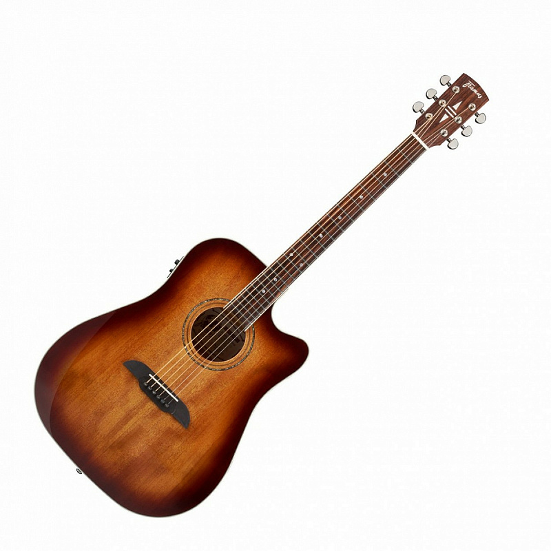 Фото Framus FD 14 M VS CE