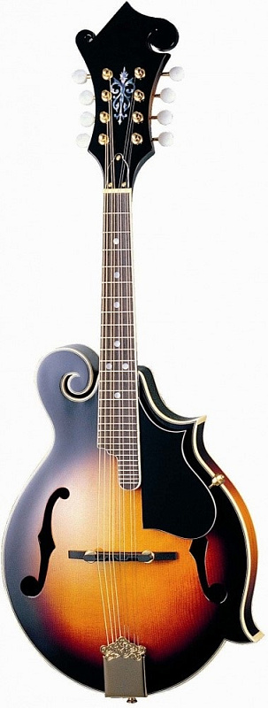 Фото TNC MA-007 мандолина + кофр