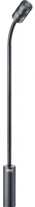 Фото DPA 4018F30