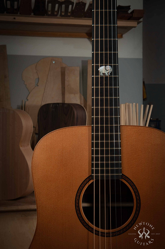 Фото Акустическая гитара NewTone GYPSY ROAD D S N T.V