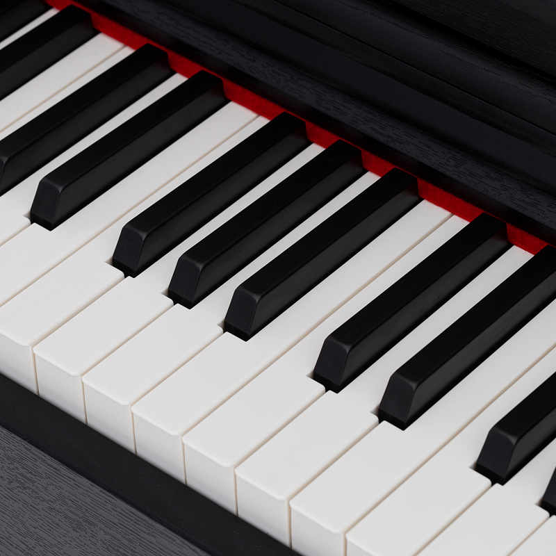 Фото Цифровое пианино Emotive Hammerpiano 3 BK