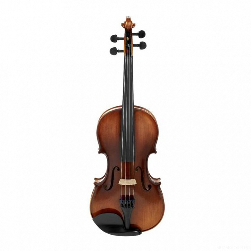 Фото Karl Hofner H8E-V 3/4