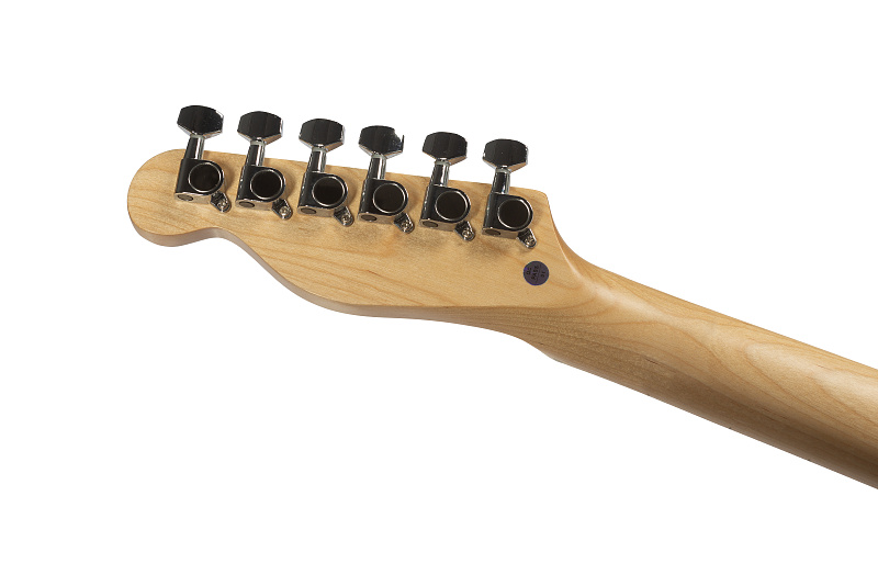 Фото Электрогитара AIERSI TL-10 Black