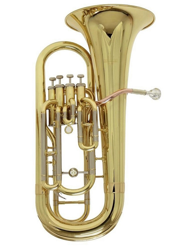 Фото ROY BENSON ЕР-303