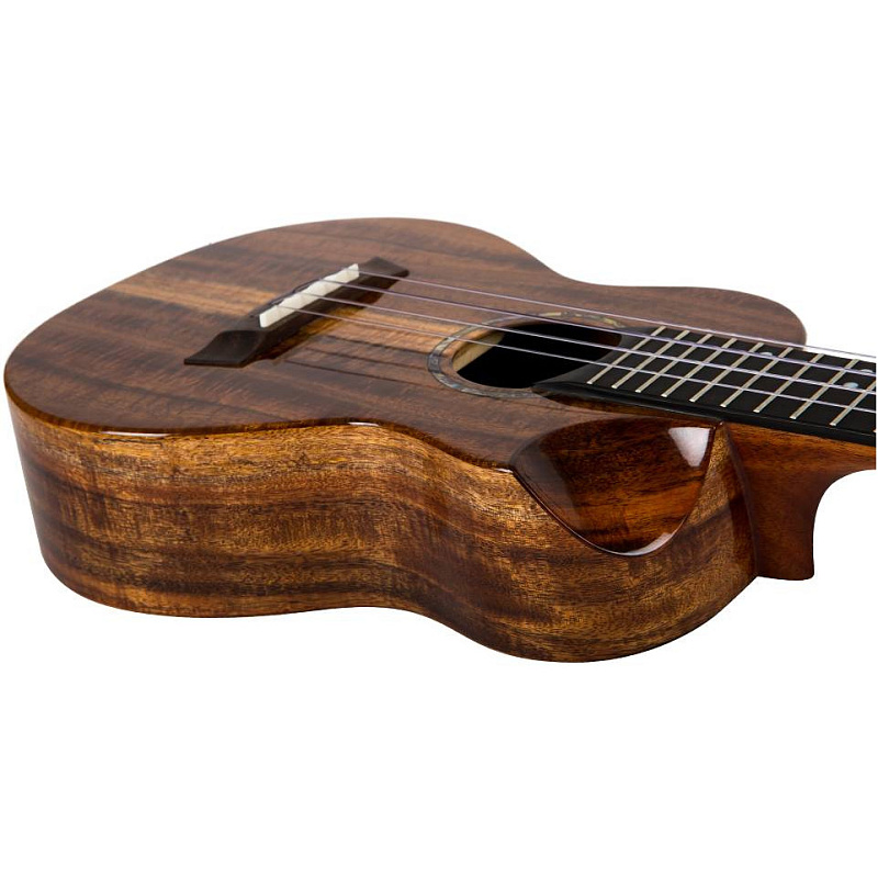 Фото Укулеле концерт FLIGHT SPIRIT CONCERT EQ-A