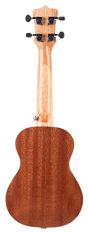 Фото Enya EUT-20