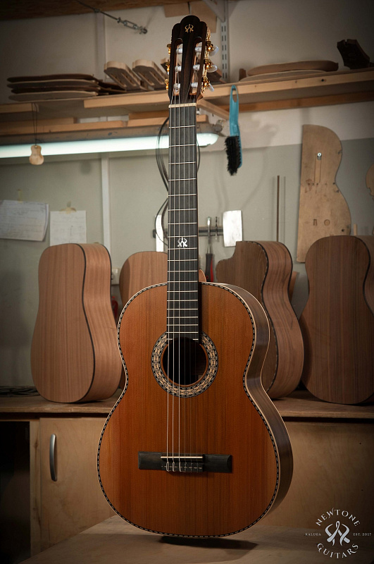 Фото Классическая гитара NewTone Soloist "Concert" CL CED CT N RW