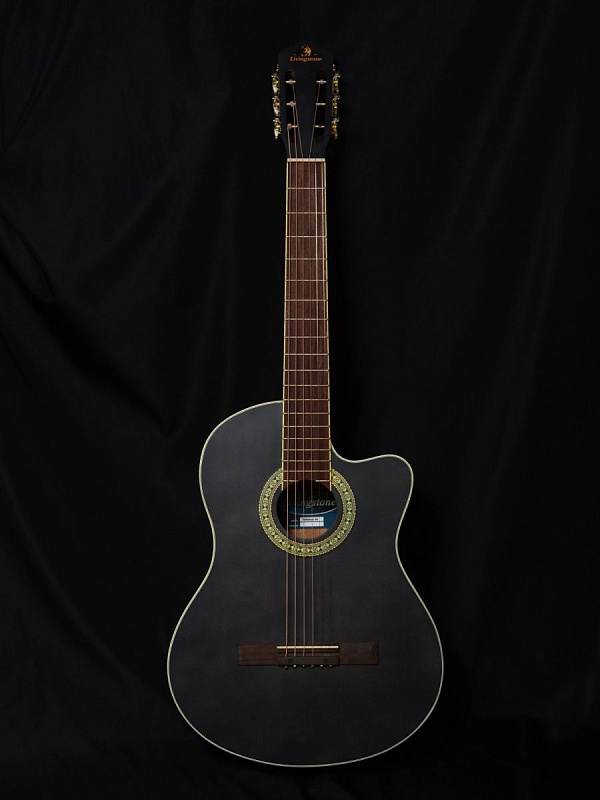 Фото Гитара Livingstone Folkblues BK 39" с вырезом