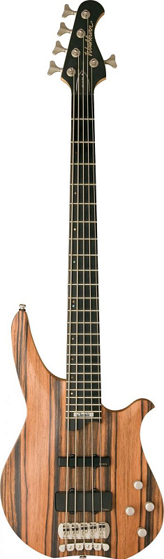 Фото 5-струнный бас Washburn CB5 RG