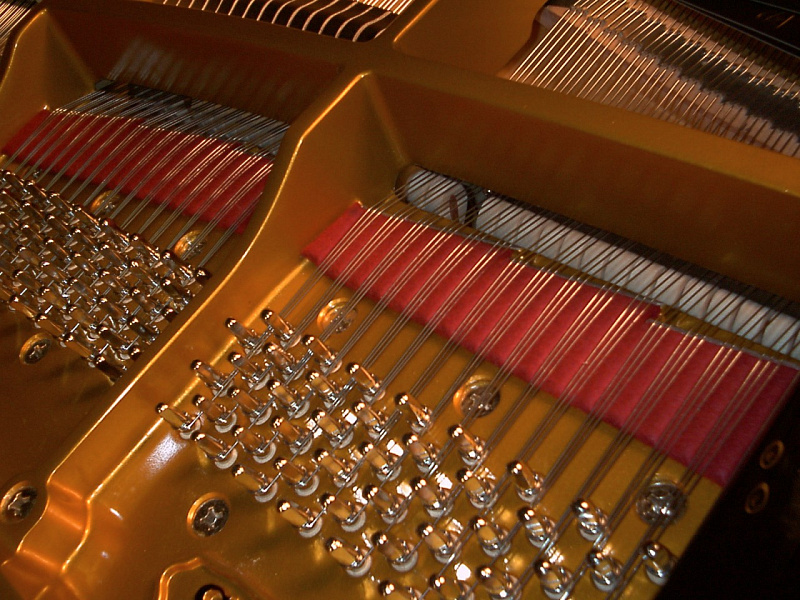 Фото Акустический рояль KAWAI SK-2LA M/PEP