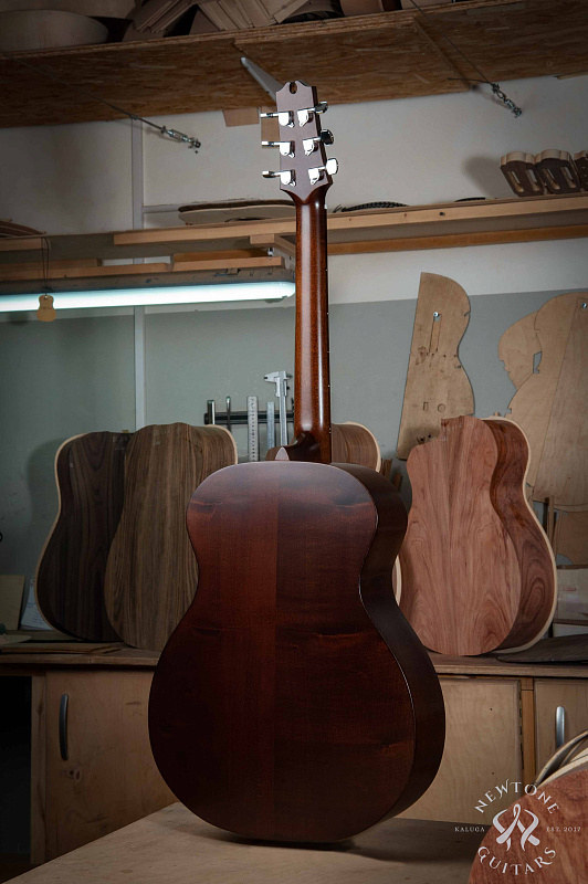 Фото Акустическая гитара NewTone N 17 O ML NT