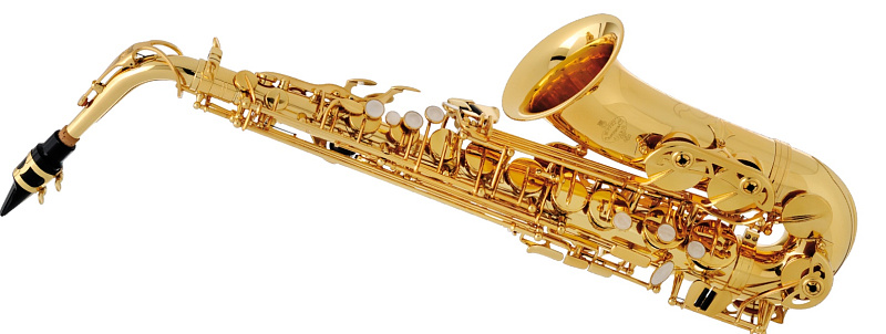 Buffet Crampon Student 100 Series BC8101-1-0 в магазине Music-Hummer