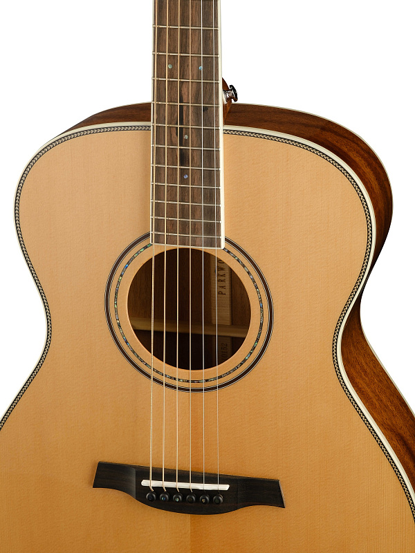 Фото Акустическая гитара Parkwood P620-WCASE-NAT