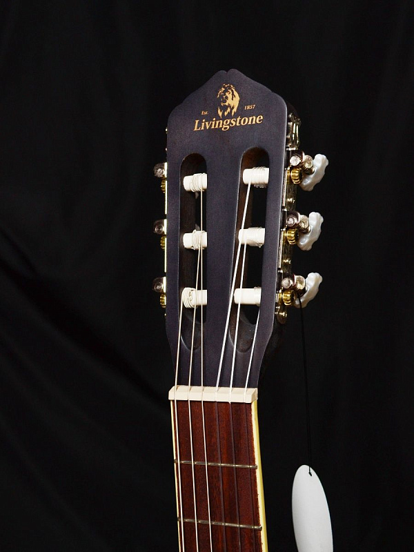 Фото Гитара классическая Livingstone Opera BK