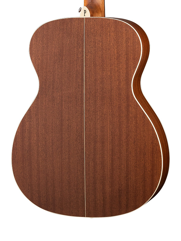 Фото Акустическая гитара Parkwood S22-GT