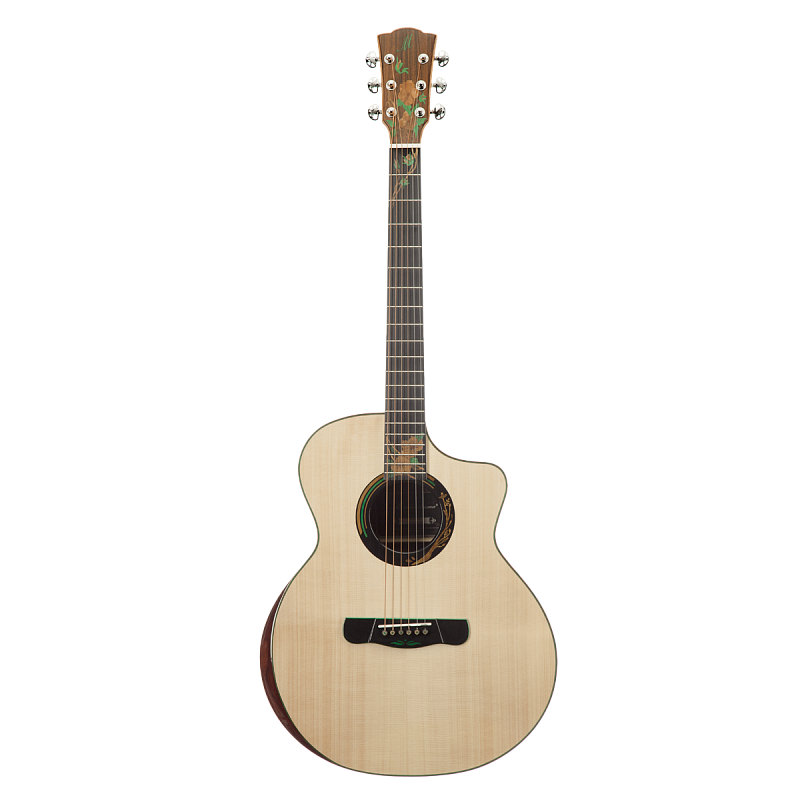 Фото Гитара акустическая Meridaextrema Summer с чехлом