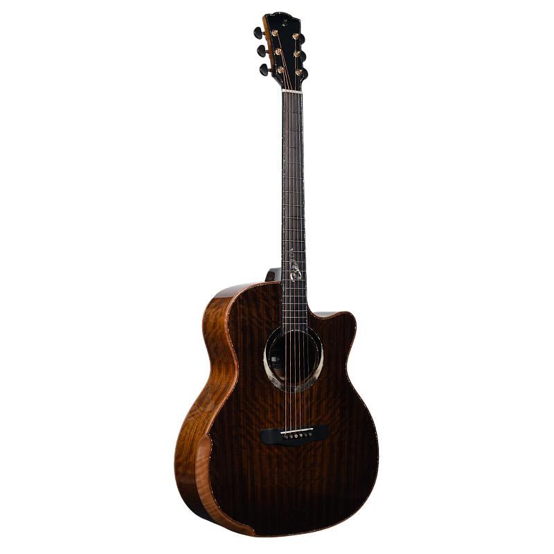 Фото Гитара акустическая Meridaextrema Breakers с чехлом