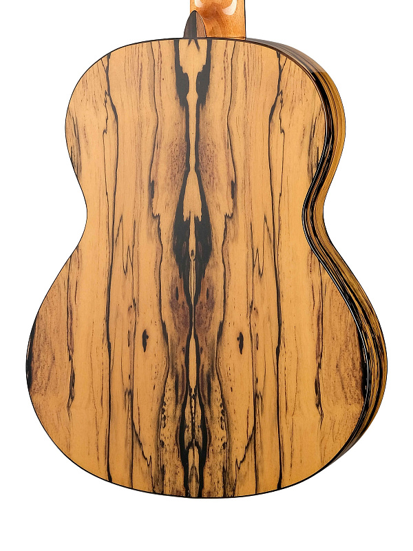 Фото Классическая гитара Alhambra 8.891V Classical Conservatory 6 White Ebony