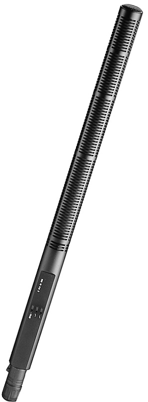 Фото Sennheiser MKH 70-1
