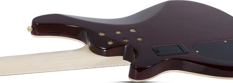 Фото Бас гитара Schecter OMEN EXTREME-5 GNAT